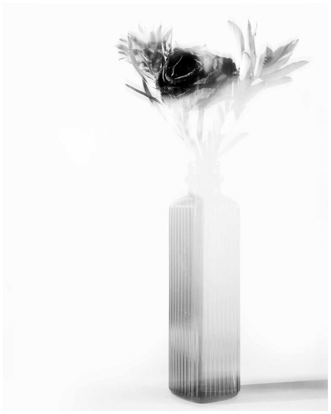 High-key black and white still life of a flower arrangement in a ribbed glass vase