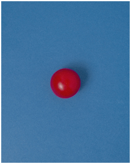 Tomato
